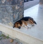 IMG_20130813_190704